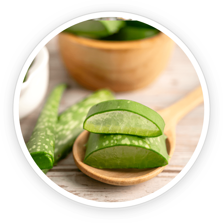 Aloe Vera used in Kerassentials nail and skin support formula