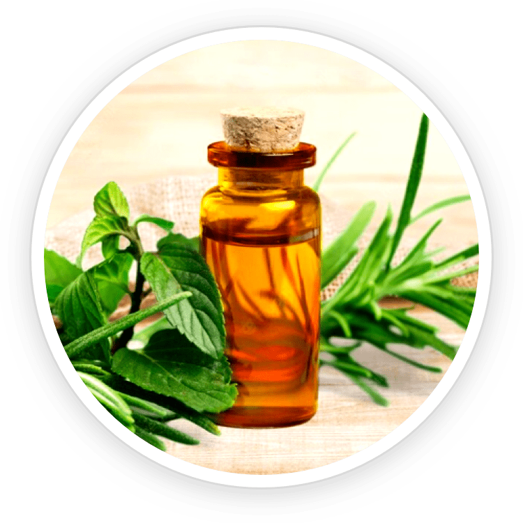Tea Tree Oil used in Kerassentials nail and skin support formula